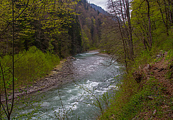 ����� ����, ������� ���� ����� ����. ���������� ����������, ������