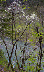 ����� ����, ������� ���� ����� ����. ���������� ����������, ������