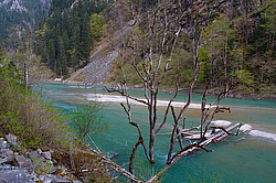 ����� ����, ������� ���� ����� ����. ���������� ����������, ������