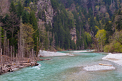 ����� ����, ������� ���� ����� ����. ���������� ����������, ������