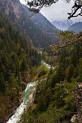 ����� ����, ������� ���� ����� ����. ���������� ����������, ������