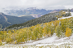 ��������� ���, �����. ���������� ����������, ������