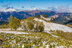 ��������� ���, �����. ���������� ����������, ������