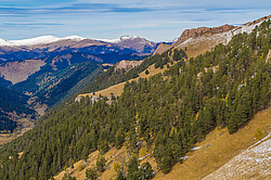 �������. ���������� ����������, ������