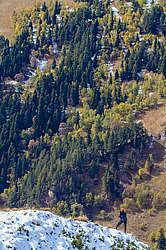 ��������� ���, ��� ������, �����. ���������� ����������, ������