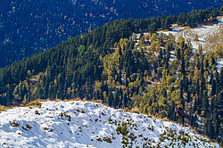 ��������� ���, ��� ������, �����. ���������� ����������, ������