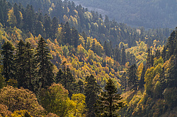 ��������� ���, �����. ���������� ����������, ������