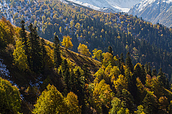 ��������� ���, ��� ������, �����. ���������� ����������, ������