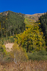 ��������� ���, ��� ������, �����. ���������� ����������, ������