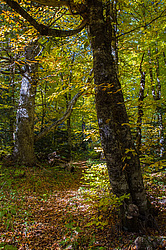 ���������� � ��������������, �����. ���������� ����������, ������