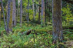 ���������� � ��������������, �����. ���������� ����������, ������