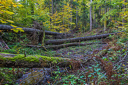 ���������� � ��������������, �����. ���������� ����������, ������