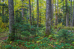 ���������� � ��������������, �����. ���������� ����������, ������