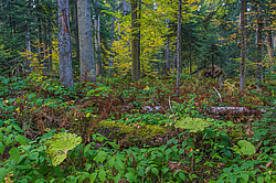 ���������� � ��������������, �����. ���������� ����������, ������