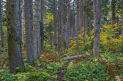 ���������� � ��������������, �����. ���������� ����������, ������