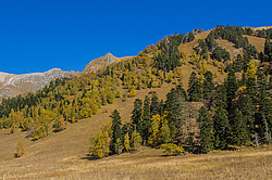 ��������� ���, �����. ���������� ����������, ������