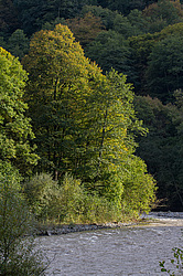 ���������, ����. ���������� ����������, ������