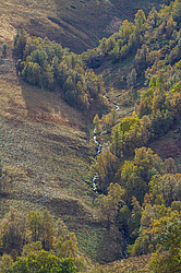 ���������, �����. ���������� ����������, ������