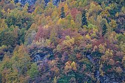 ��������� ���, ��� ������, �����. ���������� ����������, ������