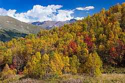 ���������, �����. ���������� ����������, ������