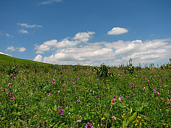 ������������� ����, ����. ���������� ����������, ������