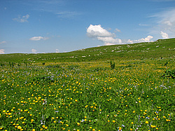 ������������� ����, ����. ���������� ����������, ������