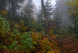 ���������� � ��������������, �����. ���������� ����������, ������