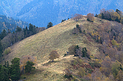 ��������� ���, ��� ������, �����. ���������� ����������, ������