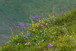 ������������� ����, ����. ���������� ����������, ������