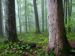 �������, ����. ���������� ����������, ������