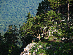 �������. ���������� ����������, ������