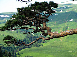 �������. ���������� ����������, ������