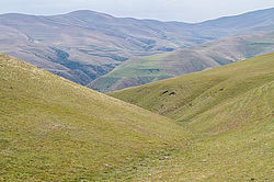 ����� ������, ���������� �����, ���������. �����������.