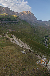 ������ ���� ���������, �����������.