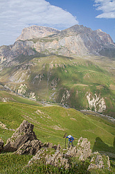 ���� ������, �����������.