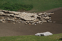 �������� ���� (������, ������) ����� �������� ���� � �����, �����������.