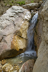 ������ ���� ���������, �����������.