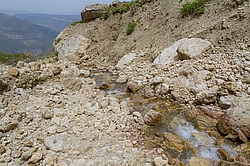 ������ ���� ���������, �����������.