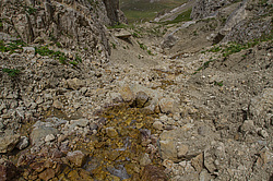 ������ ���� ���������, �����������.