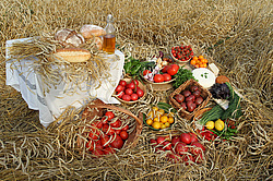 ��������� � ���������� ����������