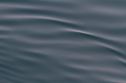 �������� ���� � ����