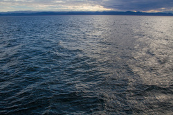 �������� ���������� ������ ��������. ���� �� ��������� ����