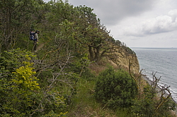 ���������, ���������� �����, ������