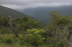 ���������, ���������� �����, ������