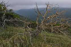 ���������, ���������� �����, ������