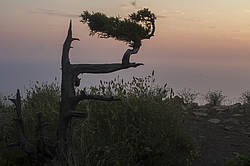 ���������, ���������� �����, ������