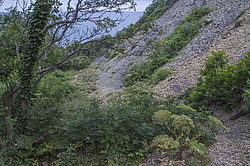 ���������, ���������� �����, ������