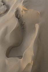 �������� ���������, ����������� ������, ��������