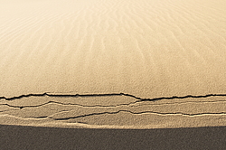 �������� ���������, ����������� ������, ��������