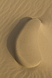 �������� ���������, ����������� ������, ��������